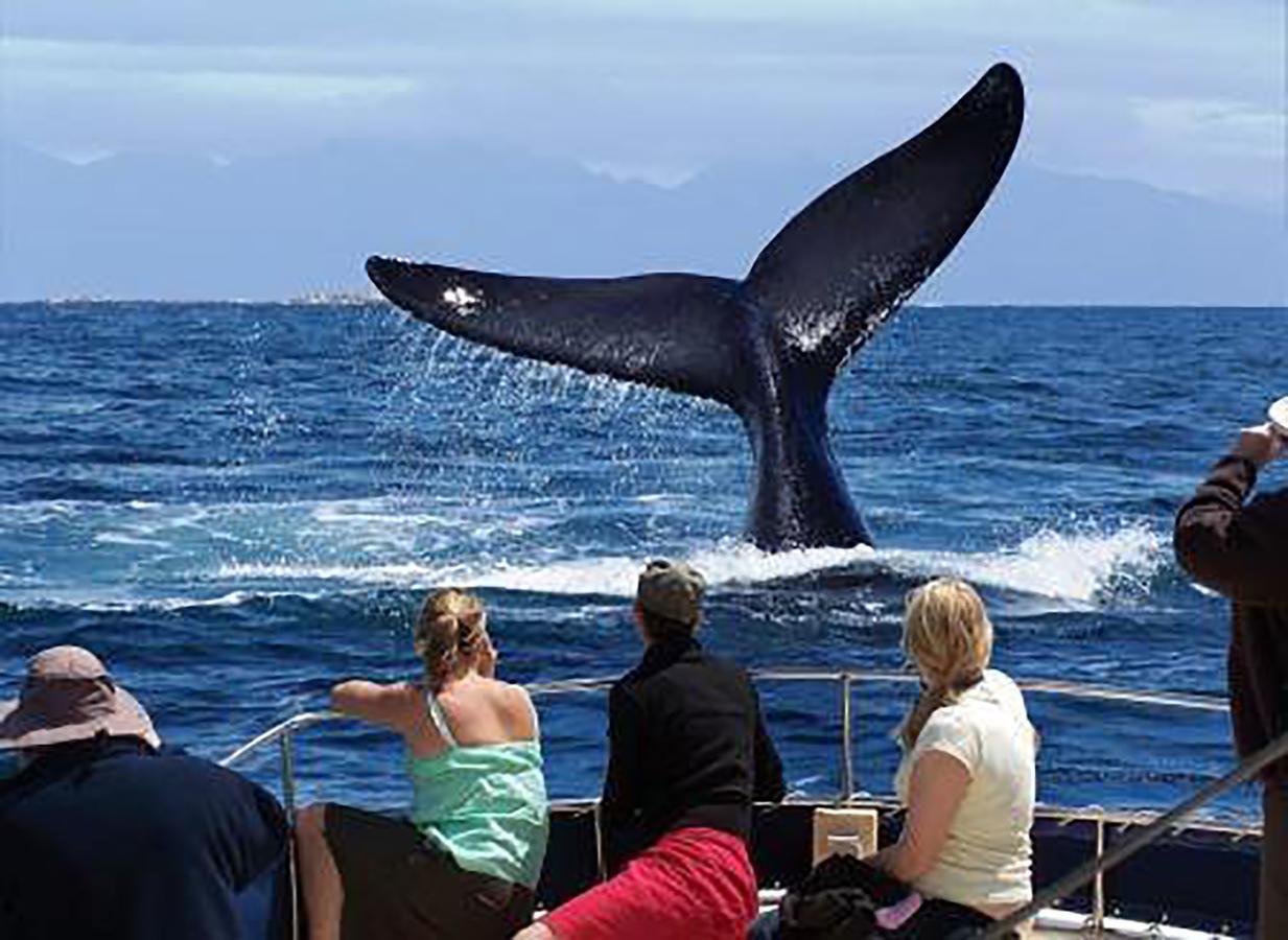Fish Hoek Whale Watchers Apartments Екстериор снимка